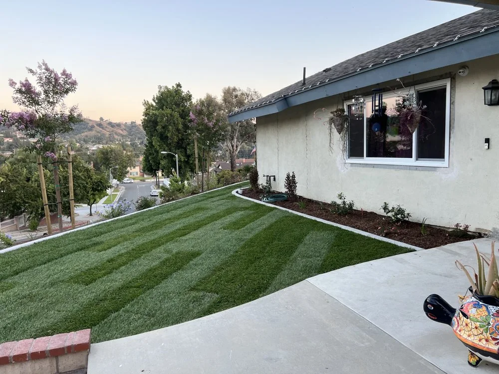 Installed backyard lawn beside a patio and planting bed